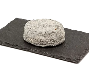 Queso Rotam